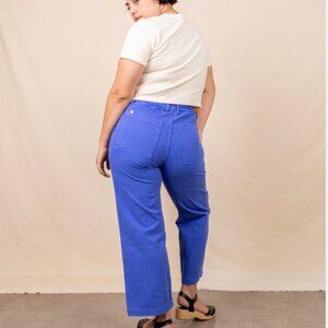 🚫 SOLD DO NOT BUY 🚫 Big Bud Press Cornflower Blue Work Pants